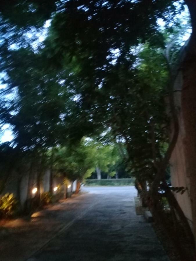 Hotel 41 Valladolid Valladolid  Ngoại thất bức ảnh